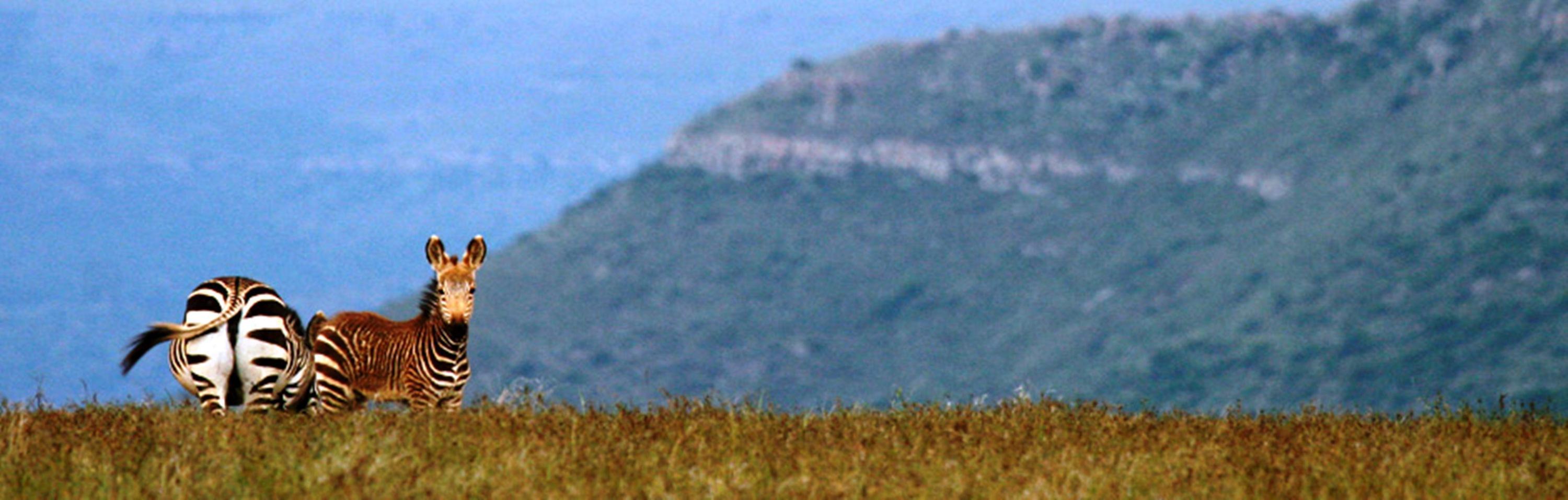 Mount Camdeboo Hotel Graaff Reinet Bagian luar foto