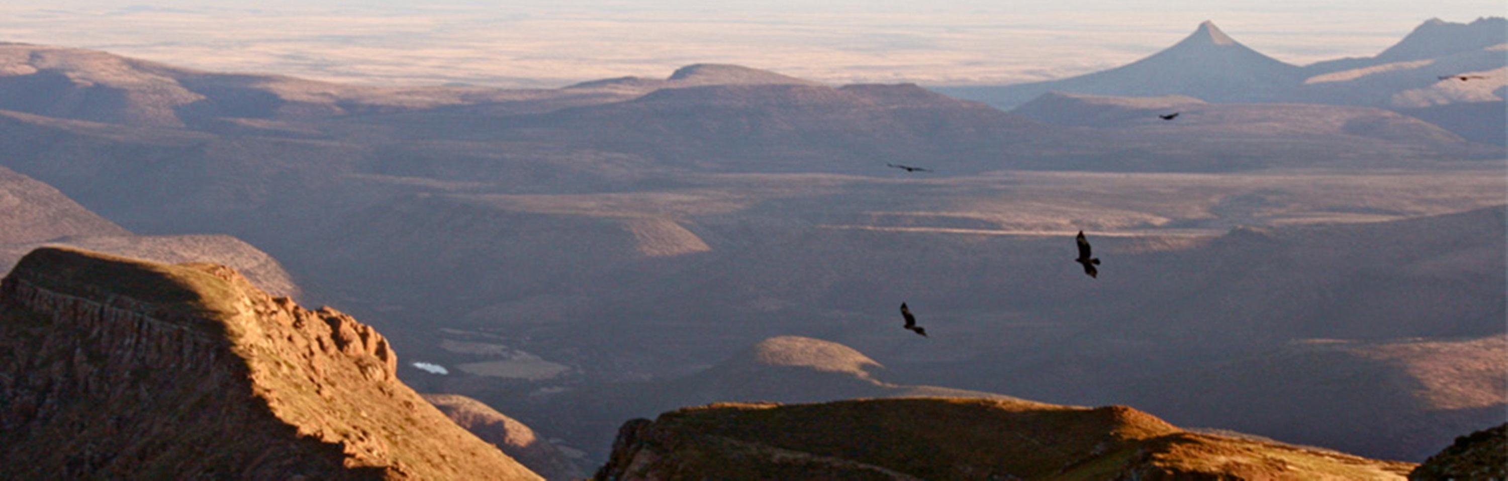 Mount Camdeboo Hotel Graaff Reinet Bagian luar foto
